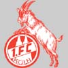 1. FC K�ln